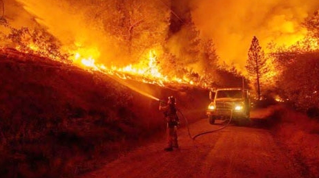 Ban bố tình trạng khẩn cấp vì cháy rừng tại California