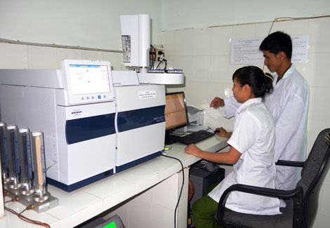 Giải mã vết thương, vạch trần tội ác