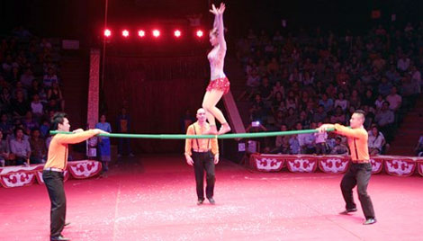 Từ 20 lá đơn và câu chuyện như xiếc