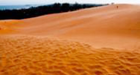 Nước, cát và máu ở rừng ô rô