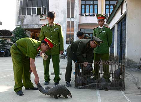 Bóc gỡ đường dây mua bán động vật hoang dã xuyên quốc gia