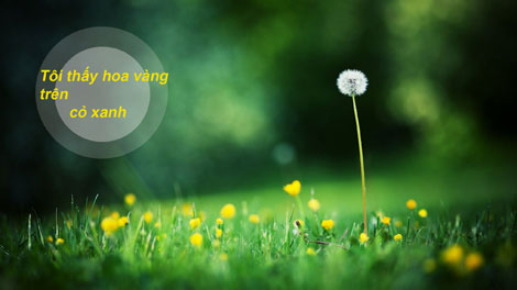 Cần điều chỉnh lại phương pháp bao cấp đối với ngành văn nghệ