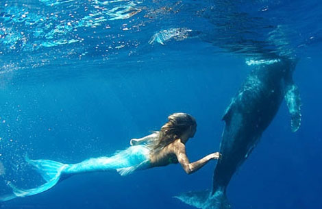 Của chung - của riêng