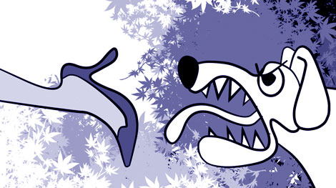 Chó cưng nhà sếp