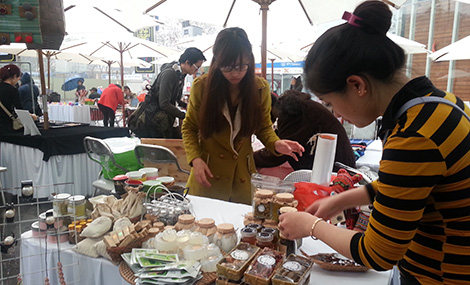 Từ 20h30-21h30 phút tối 19-3: Hà Nội tắt đèn hưởng ứng sự kiện Giờ trái đất 2016