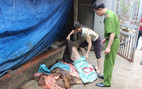 Phát hiện cơ sở tái chế mỡ, xương trâu bò bốc mùi xú uế