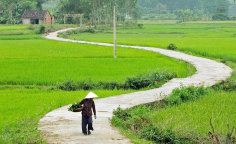 Trong lặng im những mùi...