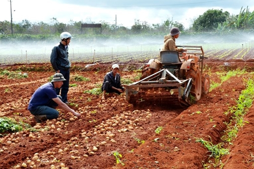 Sáng chế độc quyền máy đào khoai tây của nông dân lớp 8