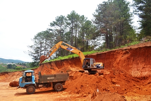 Đồi thông thơ mộng Đà Lạt đang bị “tùng xẻo”