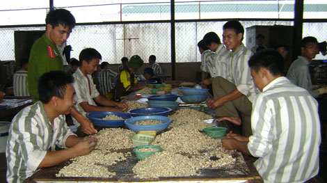 Những người thầy cảm hóa phạm nhân
