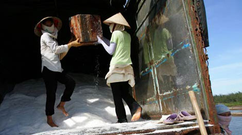 Việt Nam nhập khẩu muối khoảng 20 triệu USD