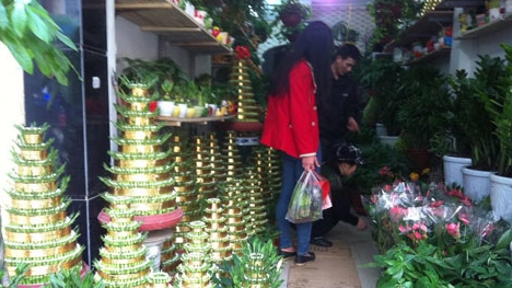 Hoa, cây cảnh Tết 2015: Độc đáo, bình dân lên ngôi