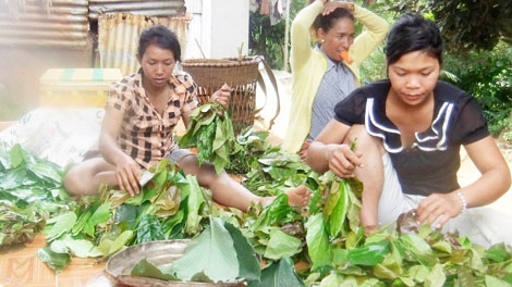 Cuối năm lên núi hái đặc sản rừng