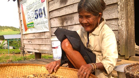 Báu vật của tình chồng nghĩa vợ nơi núi rừng