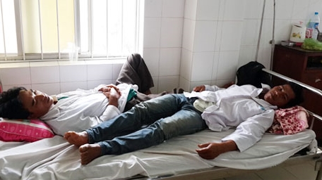 Ăn sam 1 người chết, 4 người nhập viện