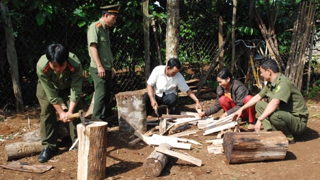 Xuân về trên các buôn làng biên giới Đắk Nông