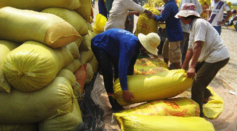 Người làm công “biến mất” cùng 210 triệu đồng tiền mua lúa