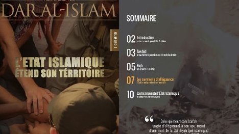 Pháp mở chiến dịch online chống IS