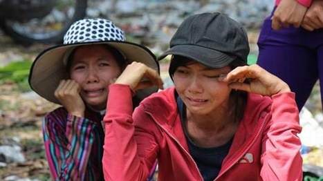 Ghi chép đầu xuân: Chuyện hoa, chuyện đường