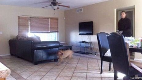 Ứng dụng di động giúp phát hiện trộm đột nhập tư gia