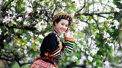 Độc đáo Lễ hội Hoa Ban 2015