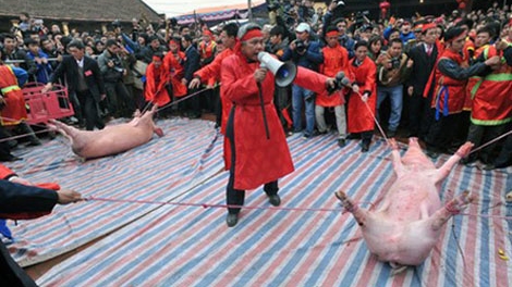 Rà soát lại các lễ hội có những tập tục gây tranh cãi