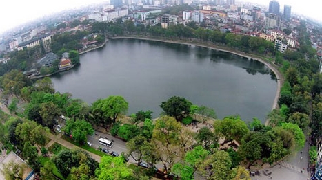 Lên tiếng cho cây, cũng là để bảo vệ ký ức của con người