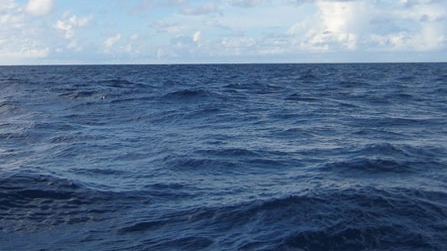 Đang tìm kiếm Đại úy Hải quân rơi xuống biển