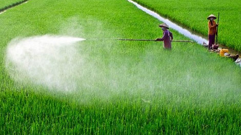 Thay thế, bãi bỏ và hủy bỏ 16 thủ tục hành chính trong ngành nông nghiệp