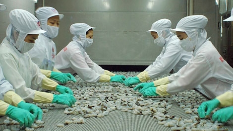 Kinh tế ổn định, thu ngân sách đạt khá