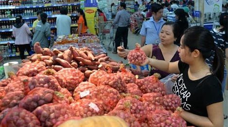 Hơn 100 tấn hành tím Vĩnh Châu đã được bao tiêu