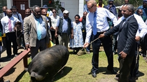 New Guinea: Hai bộ tộc tranh giành một con heo, 6 người chết