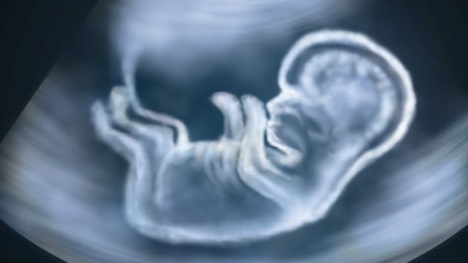 Trung Quốc nghiên cứu thành công biến đổi gene phôi thai người