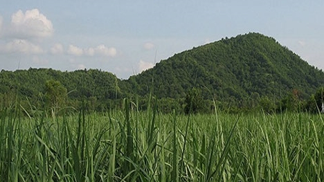 FLC và Vingroup đồng loạt đầu tư vào nông nghiệp Thanh Hóa