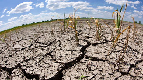 Hỗ trợ gần 500 tỷ đồng khắc phục hậu quả hạn hán