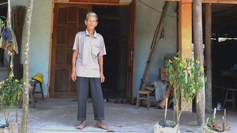 Xác minh vụ ‘bò lạc’ vào nhà trưởng thôn