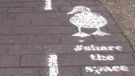 Đường bộ hành dành cho… vịt