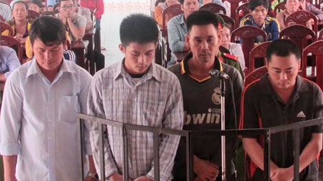 Bán trộm 311 con vịt, lãnh 12 tháng tù giam