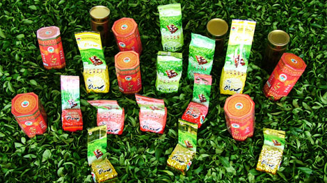 100% mẫu chè Ô Long xuất đi Đài Loan đảm bảo chất lượng