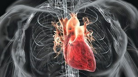 Bệnh nhân được ghép tim, phổi từ người hiến tạng đã  tử vong