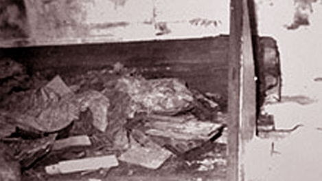 Lăng mộ Từ Hy thái hậu đã bị "Tôn Ma tử" đào trộm như thế nào?