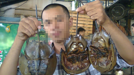 Săn sam chữa bệnh