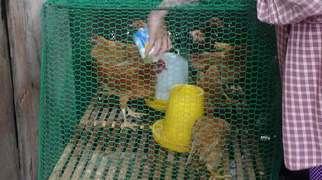 Hỗ trợ hay ‘giải ngân’?