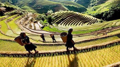 Yên Bái tổ chức Tuần Văn hóa, du lịch ‘Mùa vàng trên non’