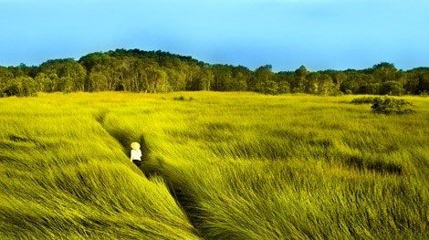 Trình chiếu phim “Cánh đồng bất tận” tại trụ sở Liên Hợp Quốc