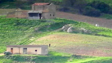 Phát hiện đường dây mafia liên lạc bằng mật mã cừu