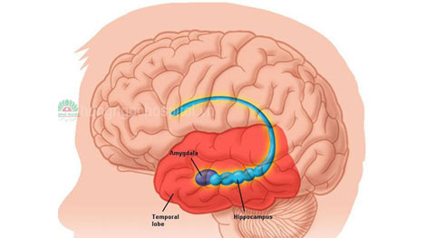 2 trẻ tử vong nghi do dịch viêm não, màng não