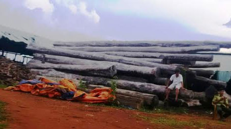 Kiểm tra đột xuất các xưởng gỗ quy mô cực lớn ở Gia Lai