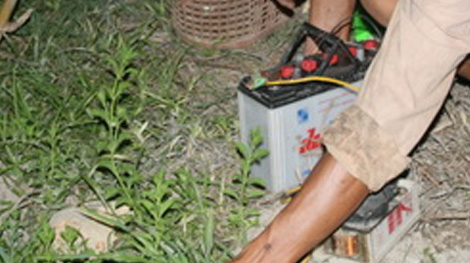 Dùng điện bẫy chuột, vô ý làm chết hai người