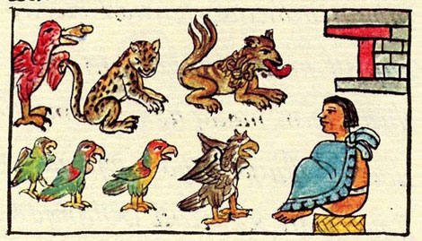 Vườn thú Motezuma – kho tàng truyền thuyết của đế chế Aztec cổ xưa